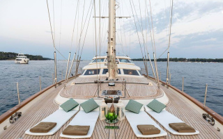 NORFOLK STAR 12