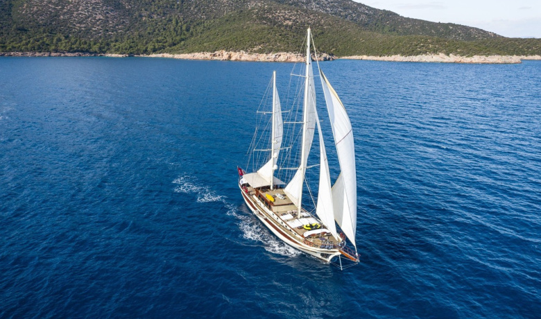 ESTRELLA DE MAR