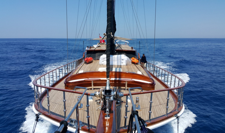 KAYA GUNERI PLUS