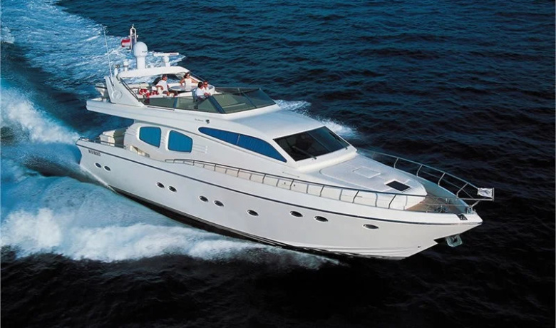 ALBATROS