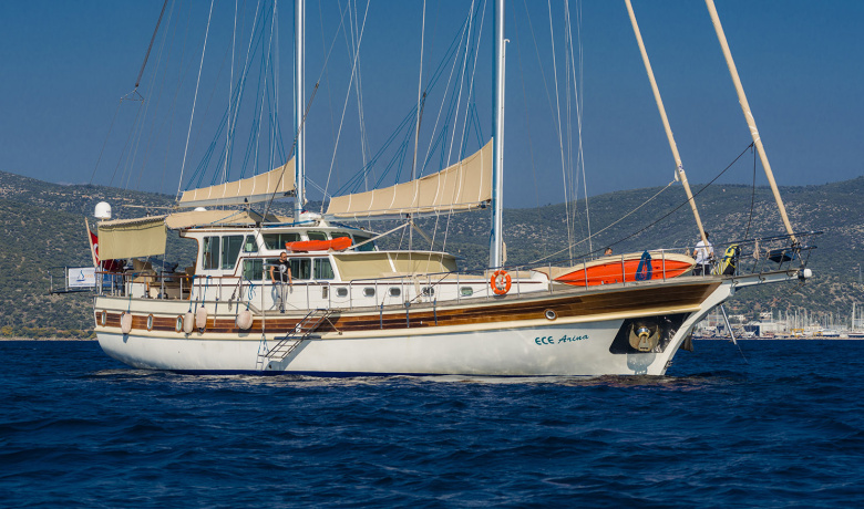 ECE ARINA