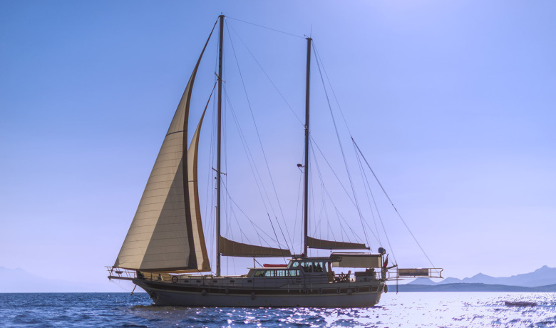ECE ARINA
