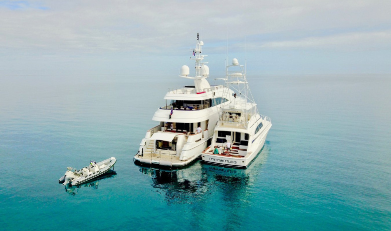 DE LISLE III