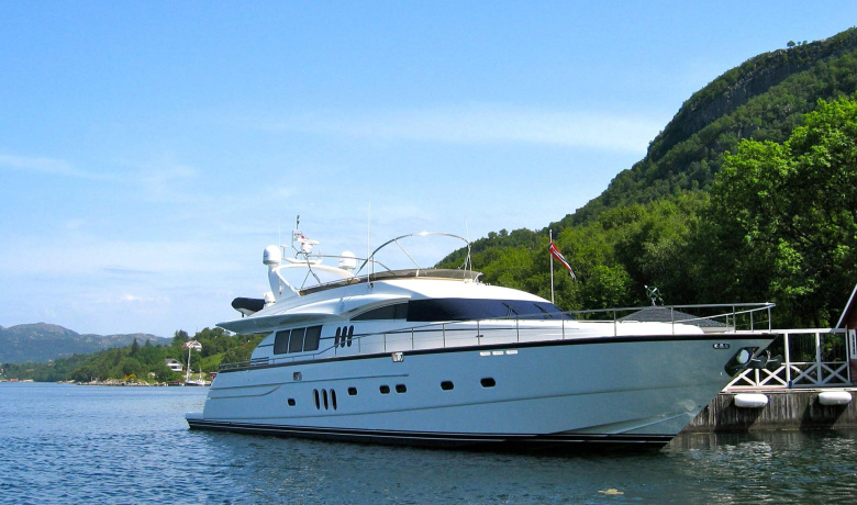 ANNE VIKING