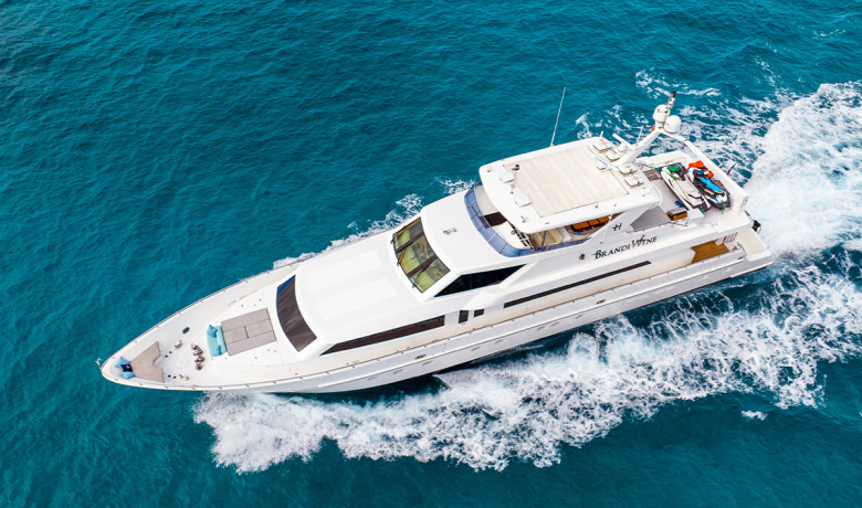 BRANDI WINE