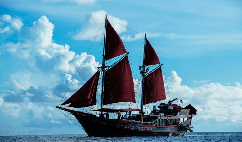MANTA MAE