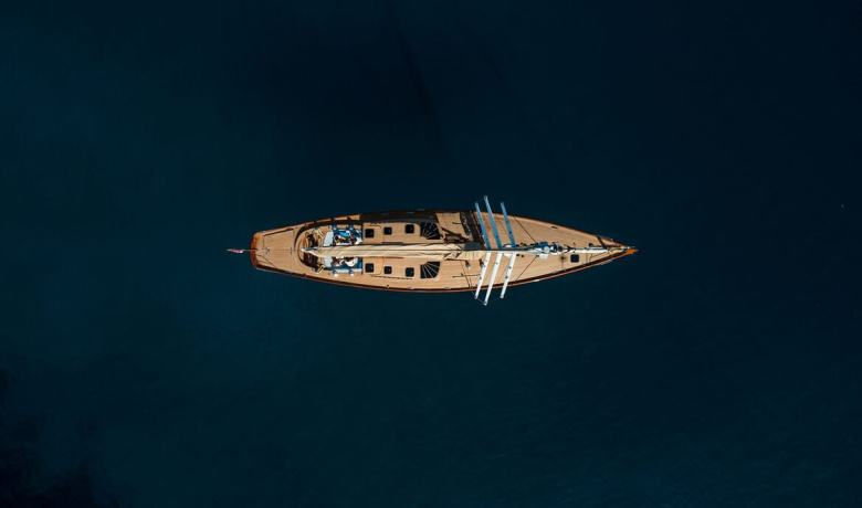 ANIMA II